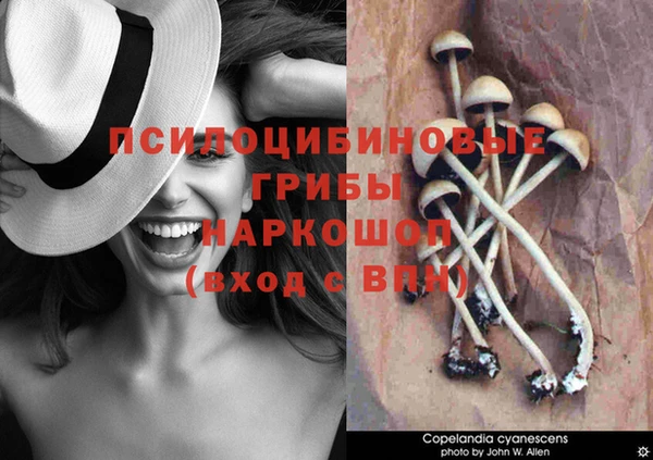 амфетамин Киреевск