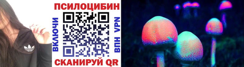 Галлюциногенные грибы прущие грибы  Купить  Родники 