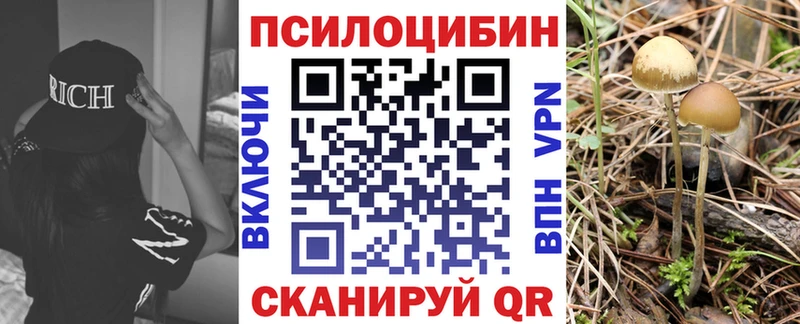 Галлюциногенные грибы Psilocybe Родники